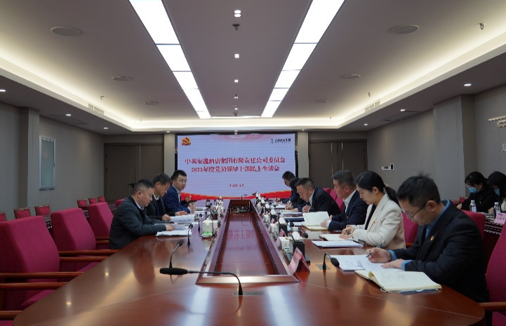 德扑之星集团党委书记、董事长任丁出席安逸酒店集团2022年度党员领导干部民主生活会