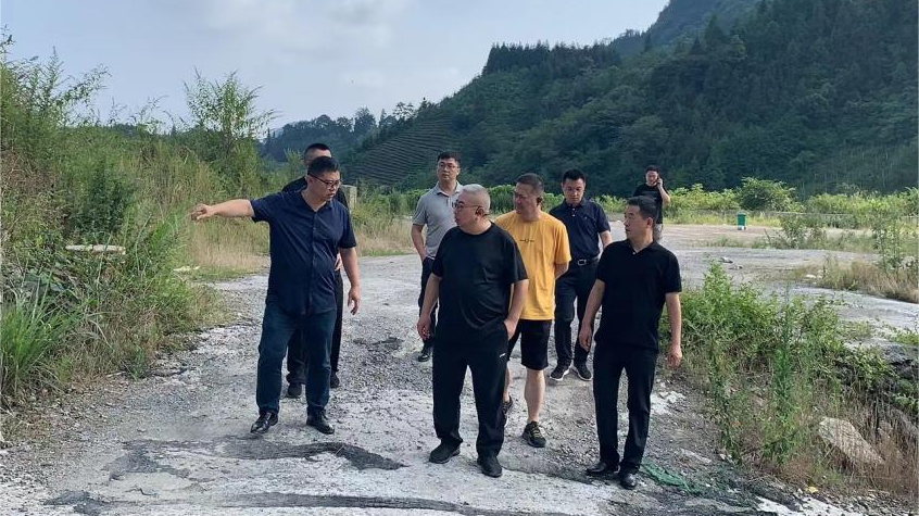 省德扑之星集团领导调研峨眉山太阳村乡村振兴项目